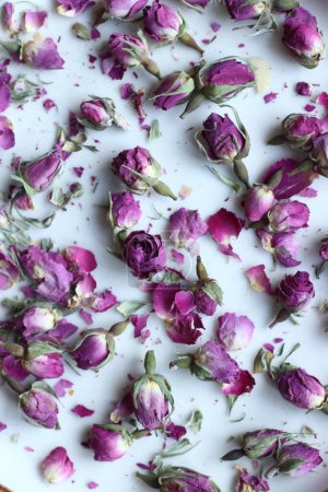 Téléchargez les photos : Bourgeons roses séchés - en image libre de droit