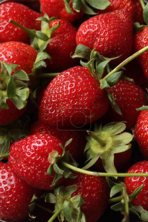 Photo for Whole strawberry fruits, whole strawberries - Royalty Free Image