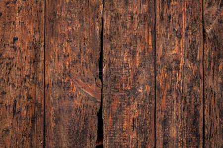 Photo for Ancient wooden door with vertical boards, gaps and woodworm infestations, close-up view.  Close-up photographic shot of a front door of an old house in a old village in Catalonia, Spain. - Royalty Free Image