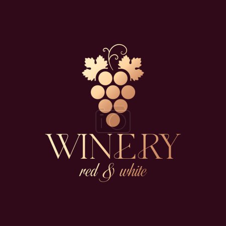 Téléchargez les photos : Logo de raisin de vin Vin de luxe rouge et blanc cave à vin 10 eps - en image libre de droit