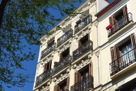 Old facades with windows and balconies decorated with stucco moldings seen through greenery in Chamberi district, Madrid, Spain. Renovated buildings of beige colour in neoclassical architectural style.