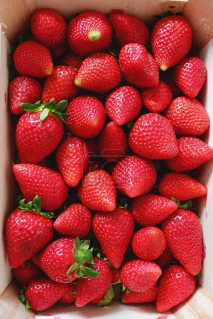 Photo for Close up on box full of strawberries, top view. Nutritional product from local farm in Huelva, Spain. - Royalty Free Image