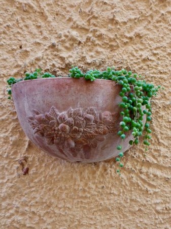 Blumentopf mit Perlenkette an der Wand. Vertikales Foto.