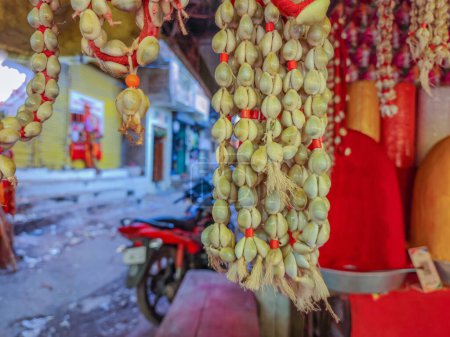 Photo for Stock photo of traditional cowry shell garland or kawdyachi mala hanging outside of the shop for sale in the market area, it is used for worshiping goddess Tuljabhavani mata at Tuljapur, Maharashtra. - Royalty Free Image