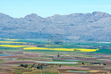 Photo for View from the Gydo Pass near Ceres in the Western Cape Province. Yellow canola fields are visible - Royalty Free Image
