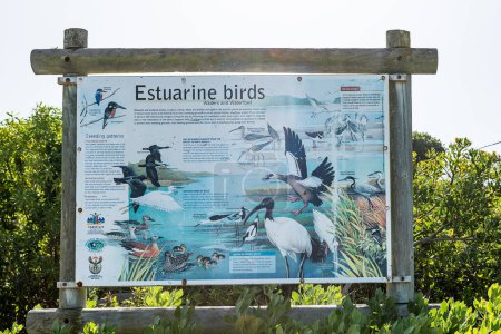 Foto de Gansbaai, Sudáfrica - 20 de septiembre de 2022: Un tablero de información para las aves estuarinas en Uilenkraalsmond en Franskraalstrand cerca de Gansbaai en la Provincia Occidental del Cabo - Imagen libre de derechos