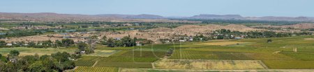 Photo for View from Tierberg to the west. Vineyards and the flooded Orange River are visible - Royalty Free Image