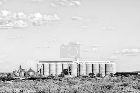 Photo for Prieska, South Africa - Feb 28 2023: Grain silos in Prieska in the Northern Cape Province. Monochrome - Royalty Free Image
