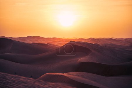 Téléchargez les photos : Journée de chaleur dans un paysage désertique. Dunes de sable au beau coucher de soleil. Abu Dhabi, Émirats arabes unis - en image libre de droit
