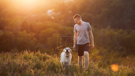 Téléchargez les photos : Homme avec chien dans la prairie au coucher du soleil. Propriétaire d'animal de compagnie marche avec récupérateur labrador heureux. - en image libre de droit