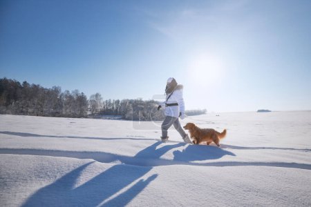 Foto de Mujer con perro durante el frío día de invierno. Propietario de mascotas caminando en el campo nevado con su leal Nova Scotia Duck Tolling Retriever - Imagen libre de derechos