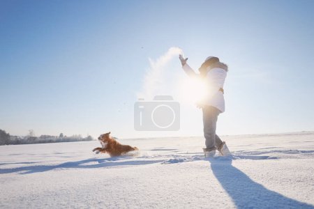 Téléchargez les photos : Femme jouant avec le chien lors d'une promenade dans un paysage enneigé. Propriétaire d'animal jetant de la neige avec son ludique Nouvelle-Écosse Duck Tolling Retriever - en image libre de droit