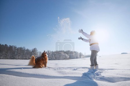 Foto de Mujer jugando con el perro durante el paseo en el paisaje nevado. Propietario de mascotas lanzando nieve con su juguetón Nova Scotia Duck Tolling Retriever - Imagen libre de derechos