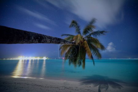 Téléchargez les photos : Palmier sur la belle plage de sable contre les étoiles sur le ciel nocturne. Plage idyllique aux Maldives. - en image libre de droit