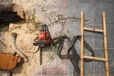 Téléchargez les photos : Scie à chaîne et échelle au milieu de la sciure de bois sur le trottoir pendant l'aménagement paysager du parc - en image libre de droit