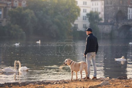Téléchargez les photos : Vue arrière de l'homme avec un chien en laisse pendant la promenade matinale en ville. Propriétaire d'animal et son labrador récupérateur sur la rive de la rivière Vltava dans le centre-ville de Prague - en image libre de droit