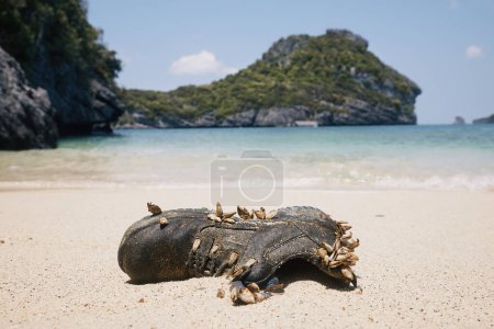 Téléchargez les photos : Botte perdue aux moules, qui a été échouée par la mer sur une belle plage de sable fin sur une île tropicale. - en image libre de droit
