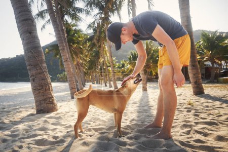 Foto de Hombre sonriente en pantalones cortos acariciando lindo perro bajo las palmeras en la idílica playa de arena - Imagen libre de derechos