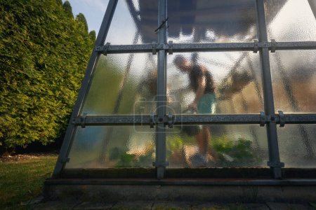 Photo for Selective focus on glass wall of greenhouse on back yard during spring day. Man working in vegetable garden - Royalty Free Image