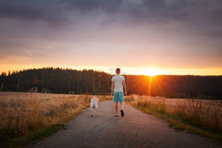 Téléchargez les photos : Vue arrière de l'homme marchant avec le chien ensemble sur la route rurale. Propriétaire d'animal de compagnie et son labrador retriever à beau coucher de soleil d'été - en image libre de droit