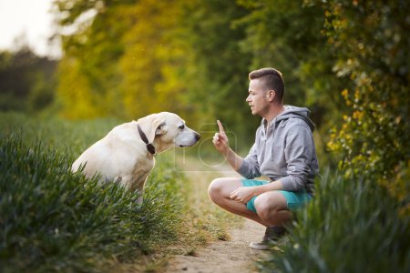 Hombre cara a cara enseñando a su lindo perro en la naturaleza. Mirada culpable de labrador retriever durante el entrenamiento de obediencia