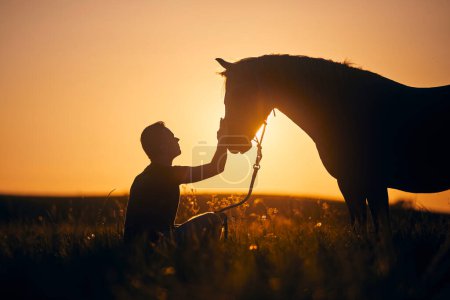 Téléchargez les photos : Silhouette de l'homme tout en caressant le cheval de thérapie sur la prairie au coucher du soleil. Thèmes hippothérapie, soins et amitié entre les personnes et les animaux - en image libre de droit