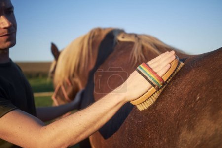 Foto de Hombre durante el aseo del caballo en el soleado día de verano. Primer plano de la mano mientras se cepilla la parte posterior de yegua marrón - Imagen libre de derechos