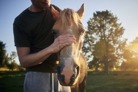 Photo for Man is stroking head of therapy horse at beautiful summer sunset. Themes hippotherapy, care and friendship between people and animals - Royalty Free Image