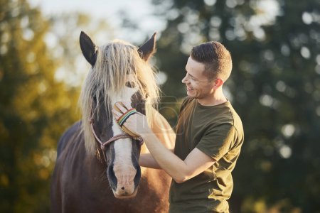 Téléchargez les photos : Homme pendant le toilettage des chevaux par une journée ensoleillée d'été. Gros plan de la main lors du brossage du dos de jument brune - en image libre de droit