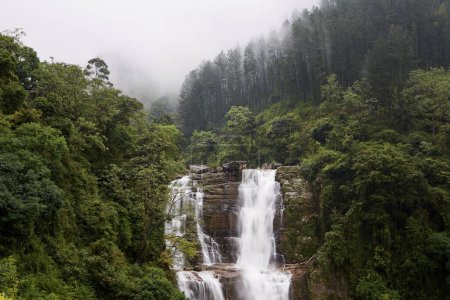 Photo for High waterfall full of water in the middle of nature. Ramboda falls near Nuwara Eliya in Sri Lanka - Royalty Free Image