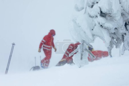 Téléchargez les photos : Équipe paramédicale des services d'urgence aidant dans les montagnes en hiver pendant le blizzard. Concentration sélective sur l'arbre enneigé. Thèmes sauvetage dans des conditions météorologiques extrêmes - en image libre de droit