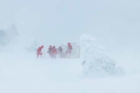 Foto de Equipo paramédico de servicio de emergencia que ayuda en las montañas en invierno durante la ventisca. Enfoque selectivo en el árbol nevado. Temas de rescate en condiciones meteorológicas extremas - Imagen libre de derechos