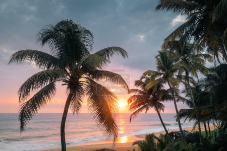 Foto de Puesta de sol sobre el océano Índico. Palmeras de coco en la playa de arena en la costa sur de Sri Lanka - Imagen libre de derechos