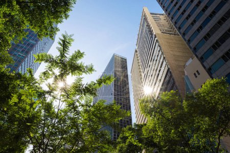 Téléchargez les photos : Bâtiments de bureaux modernes avec des arbres ci-dessous et reflet du soleil dans le centre-ville - en image libre de droit
