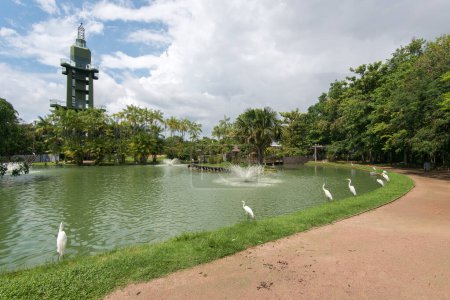 Teich in einem Park mit Springbrunnen und Silberreihern im Hintergrund, Aussichtsturm in Belem City, im Norden Brasiliens