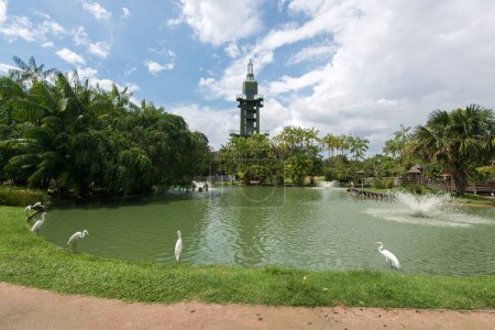 Teich in einem Park mit Springbrunnen und Silberreihern im Hintergrund, Aussichtsturm in Belem City, im Norden Brasiliens