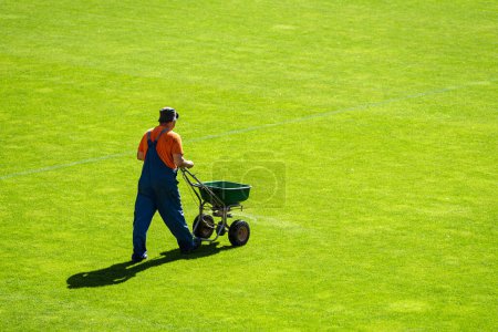 Photo for Groundsman spreads fertilizer for grass on a football pitch - Royalty Free Image