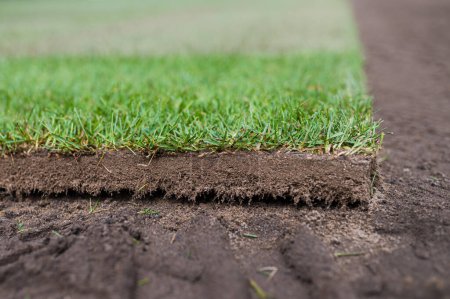Photo for A piece of new grass from a roll laying on a football pitch. - Royalty Free Image