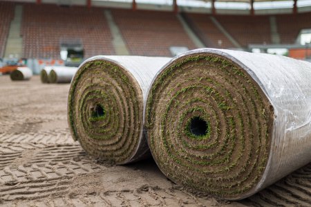 Téléchargez les photos : De grands rouleaux d'herbe reposent sur un terrain de football au stade. - en image libre de droit