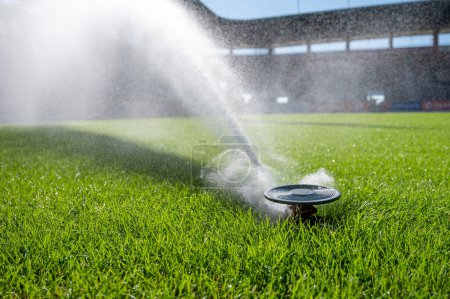 Photo for Watering grass on a football stadium - Royalty Free Image