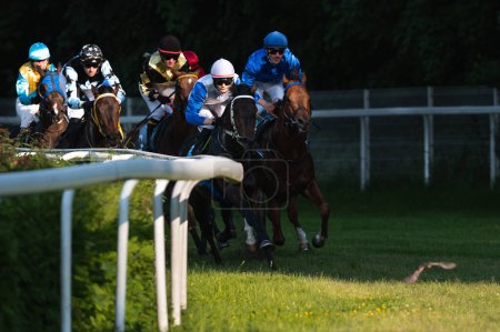Photo for WROCLAW, POLAND - JUNE 4; 2023: Handicap race for three years and old horses III group  at Racecourse WTWK Partynice. Jockeys, horses and small bird at foreground - Royalty Free Image