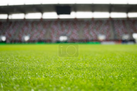 Rasen im Fußballstadion an sonnigen Frühlingstagen