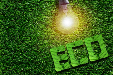 Foto de Concepto de ecología, ahorre energía, hoja de árbol y bombilla en hierba verde - Imagen libre de derechos