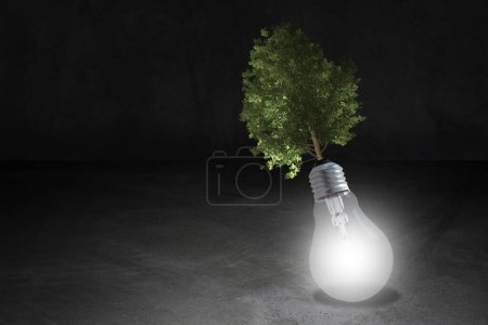 Foto de Concepto ecológico, consumo de energía, árbol y bombilla - Imagen libre de derechos