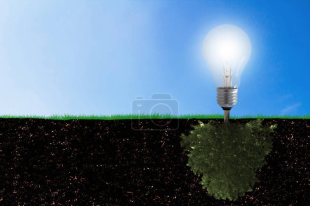 Foto de Concepto de ecología, consumo de energía, árbol y bombilla sobre hierba verde - Imagen libre de derechos