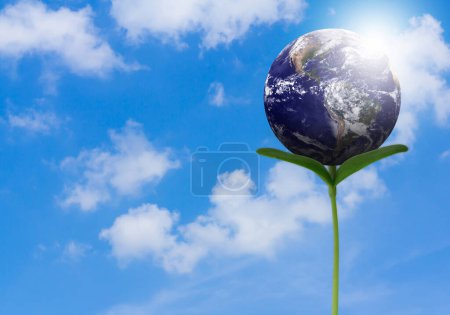 Foto de Concepto de ecología, la tierra y la planta joven sobre fondo de cielo azul, Elementos de esta imagen proporcionados por la NASA - Imagen libre de derechos