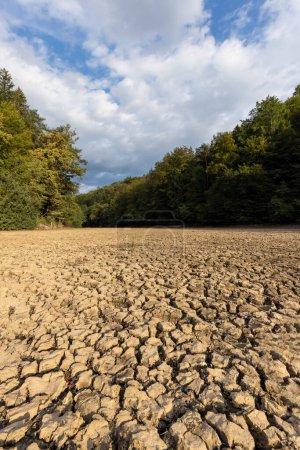 Foto de Lecho de río seco con restos de lodo agrietado, ubicado en la zona forestal - Imagen libre de derechos