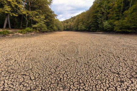 Foto de Terreno agrietado causado por sequedad, suelo arcilloso deshidratado, efectos nocivos de la estación seca de verano - Imagen libre de derechos
