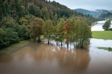 Foto de Inundación repentina de un arroyo de montaña o río que corre rápidamente desde el bosque y el área de campo circundante desbordante, vista aérea. - Imagen libre de derechos