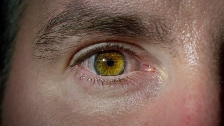 Foto de Movimiento humano del ojo, apertura y parpadeo de un ojo masculino con iris marrón, enfocándose en la cámara, disparo de cerca. Conceptos de tiempo de vigilia y momentos que cambian la vida. - Imagen libre de derechos